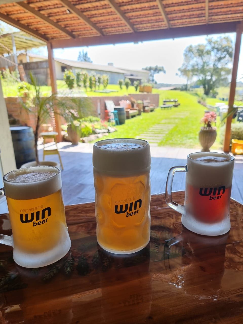 Três canecas de cerveja Win Beer
